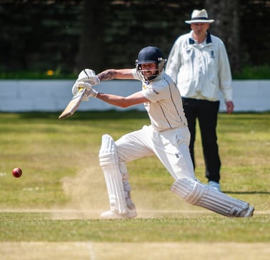 Cricket